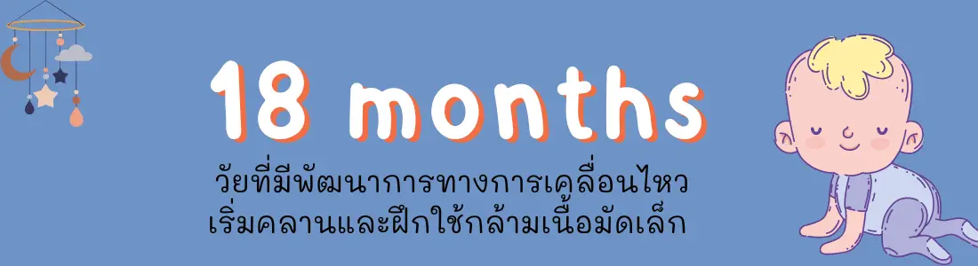 18 เดือน